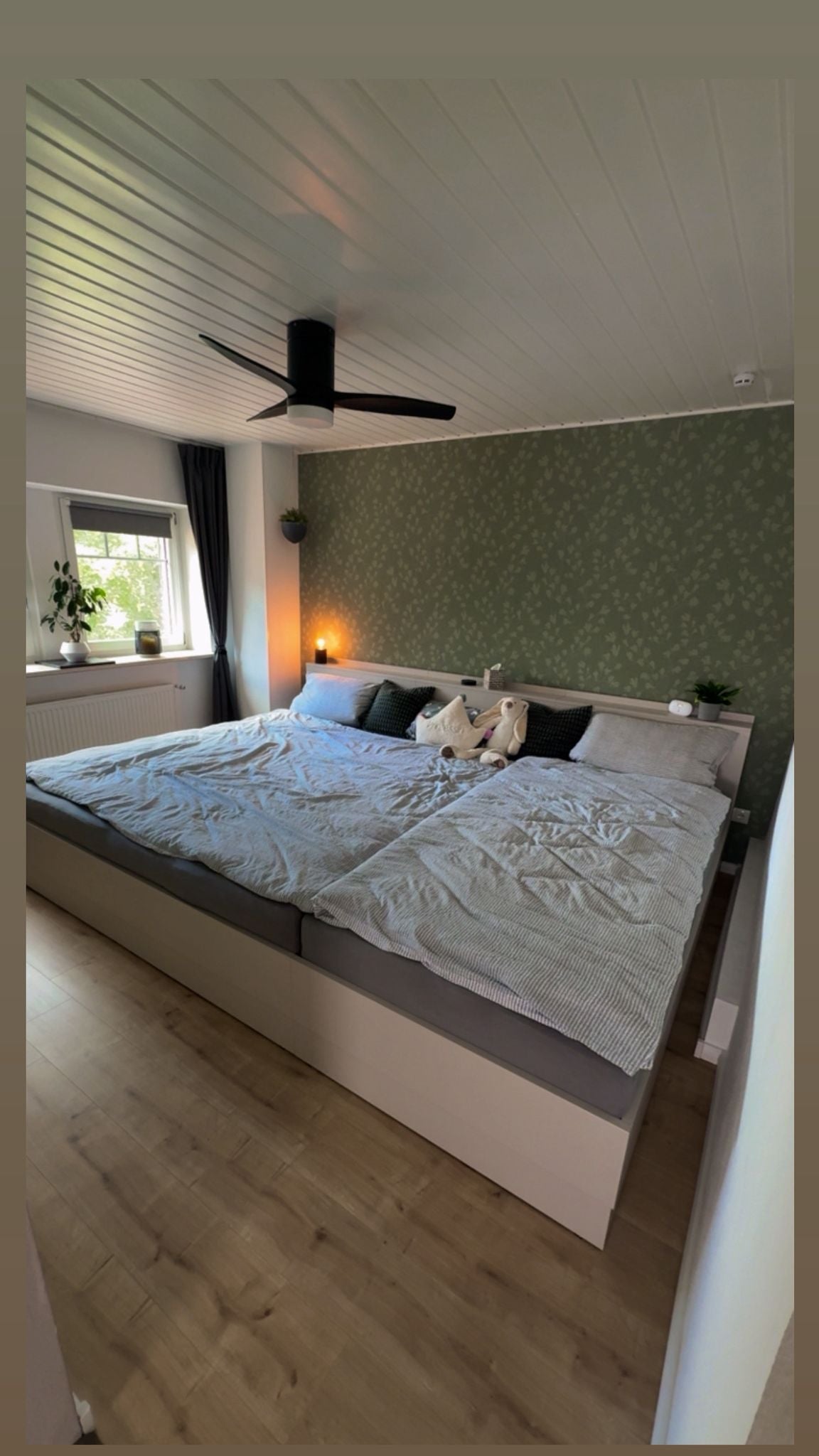 Kaschmirgraues Familienbett Anemone in Schlafzimmer mit grüner Wand